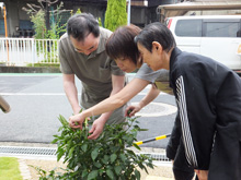 園芸クラブ