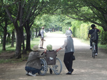 菖蒲見物